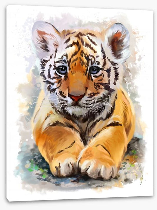 Little tiger