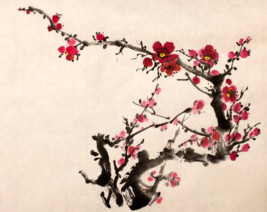 Red plum blossom