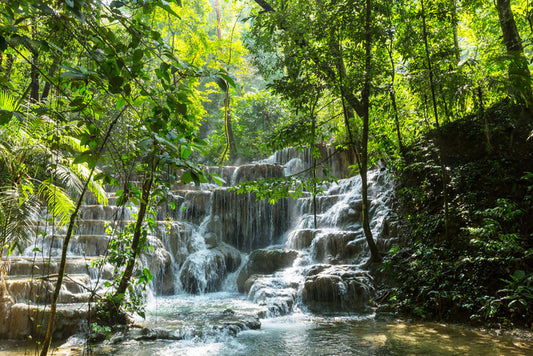 Jungle spray