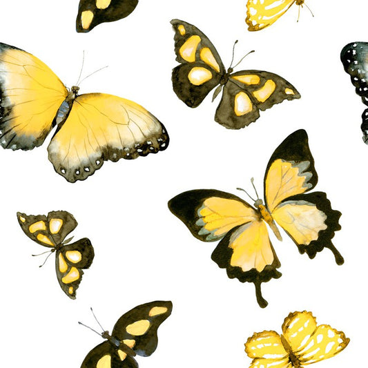 Butterflies