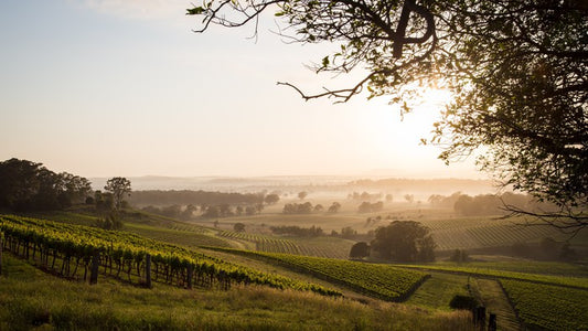 Hunter Valley dawn