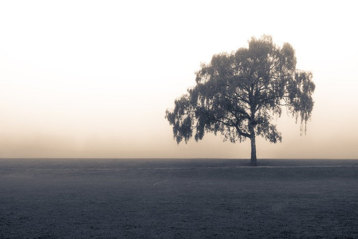Free of the fog