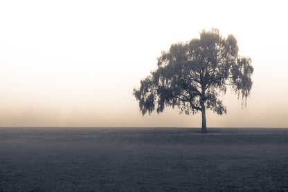 Free of the fog