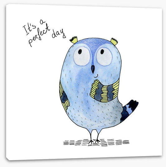Perfect owl day
