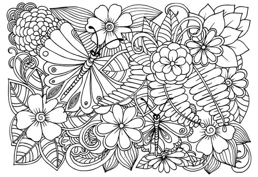 Colour me garden