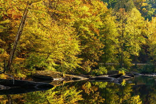 Along the river