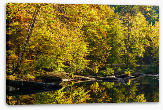 Along the river