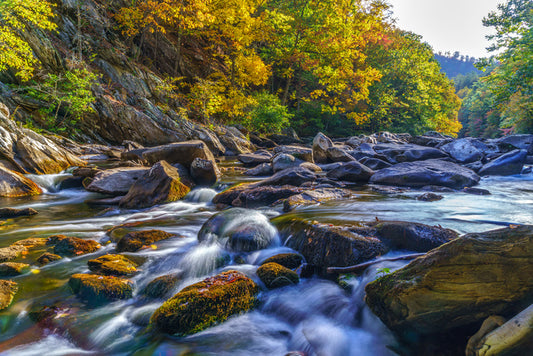 Rivers