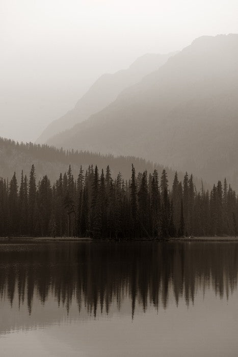 Misty mood
