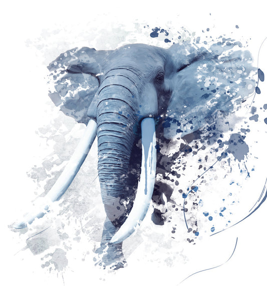 Elephant run