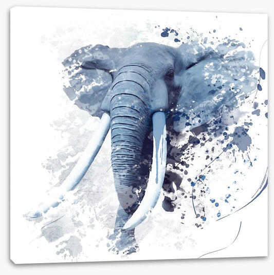 Elephant run