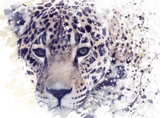 Well spotted