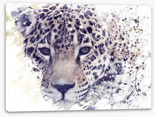 Well spotted