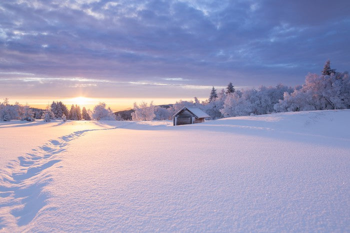 Snowbound