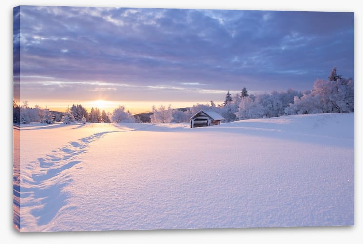Snowbound