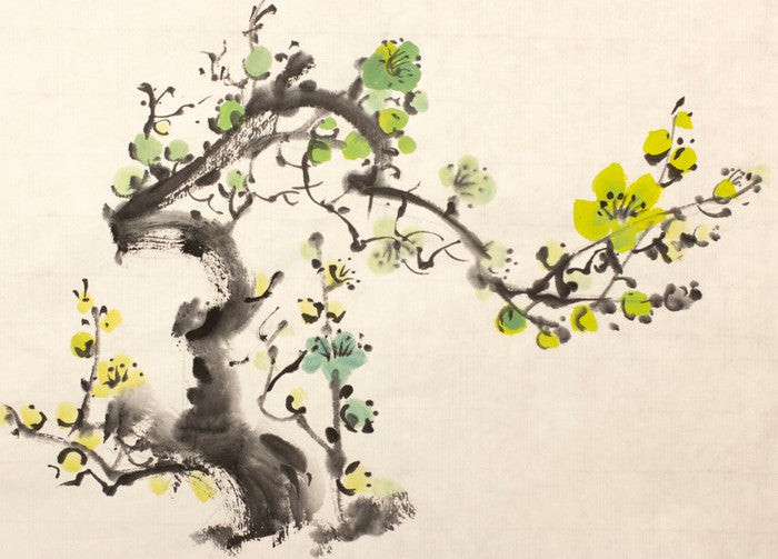 Green plum blossom