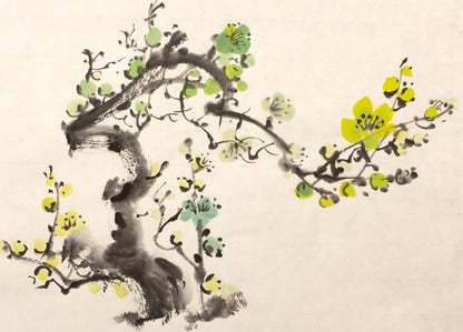 Green plum blossom