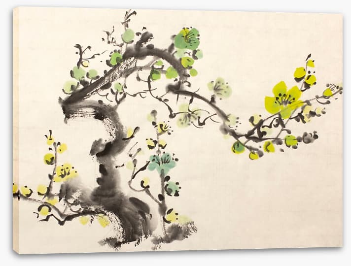 Green plum blossom
