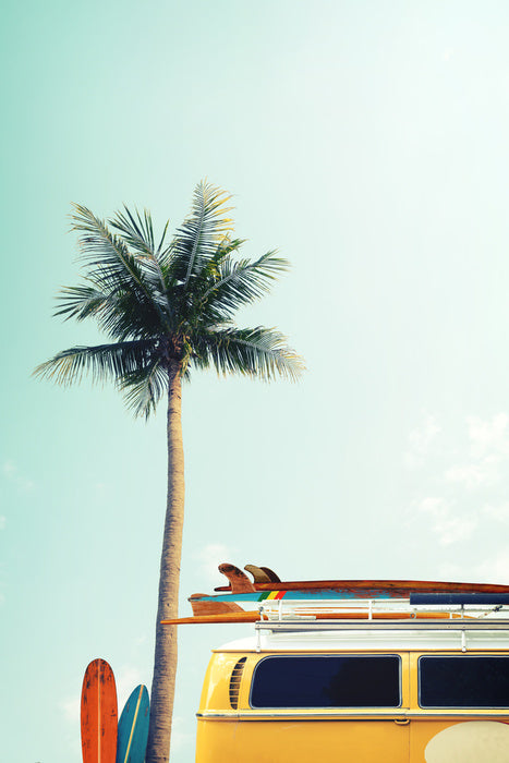 Surfers palm