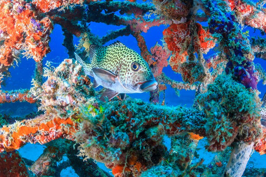 Underwater