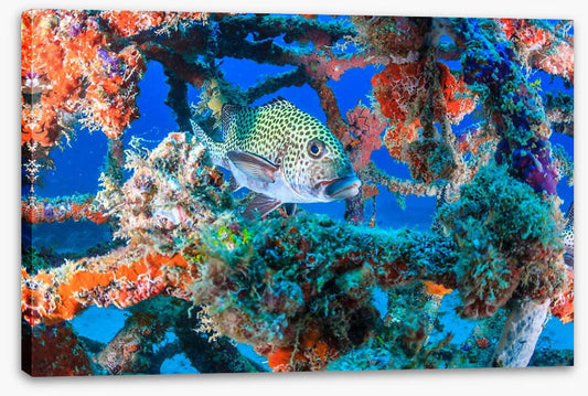 Underwater