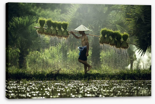 Asia