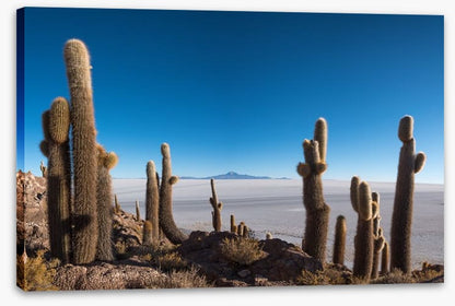 South America