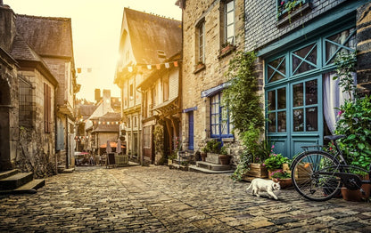 The cobblestone cat