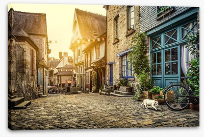 The cobblestone cat
