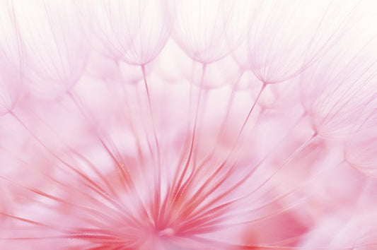 Soft focus