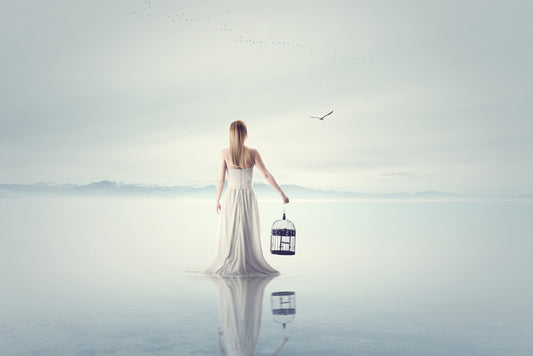 Free as a bird