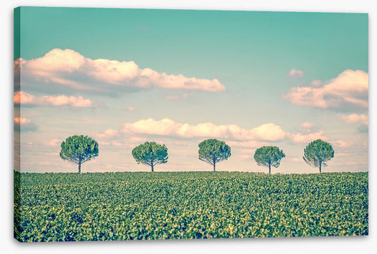Five trees