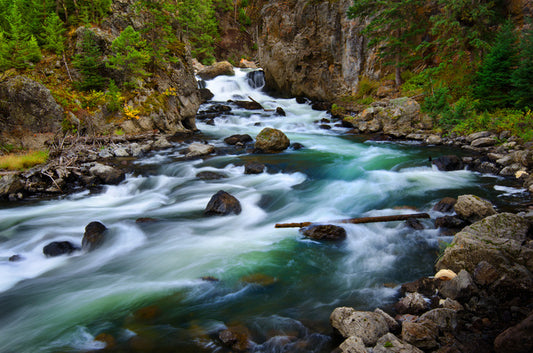 Whitewater wilderness