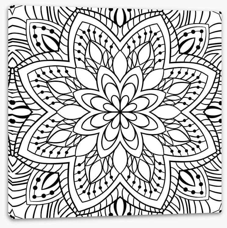 Colour me flower