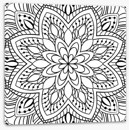 Colour me flower