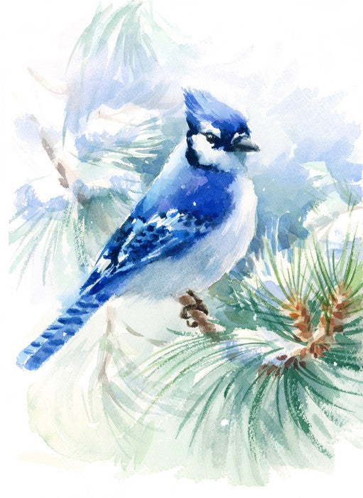 Blue jay snowfall