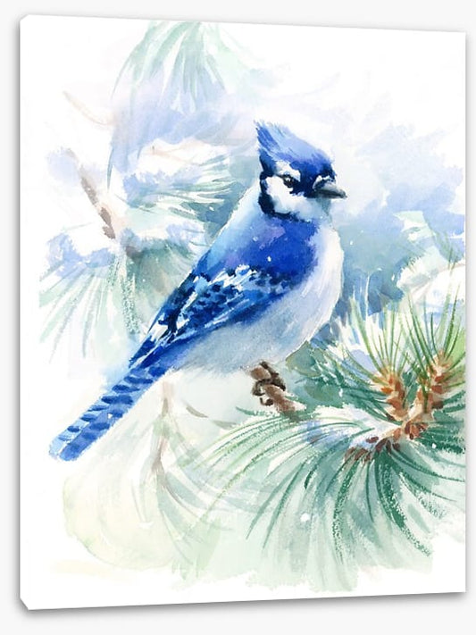 Blue jay snowfall