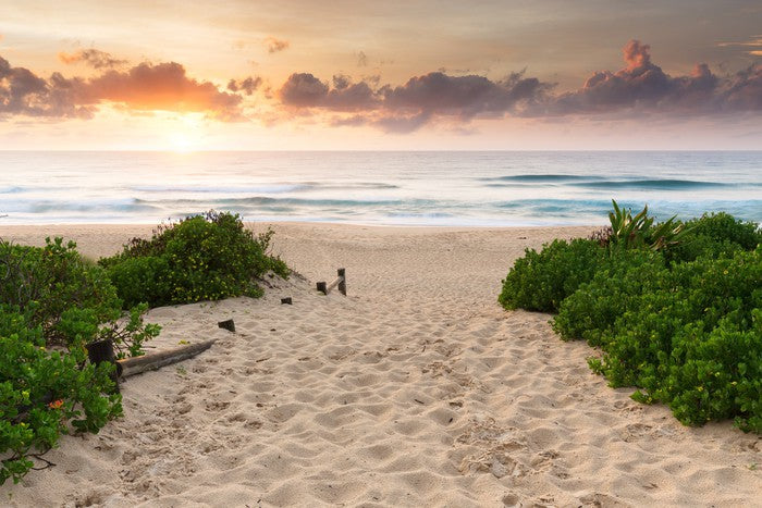Dawn at the beach