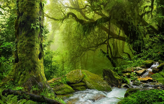 Sea of green