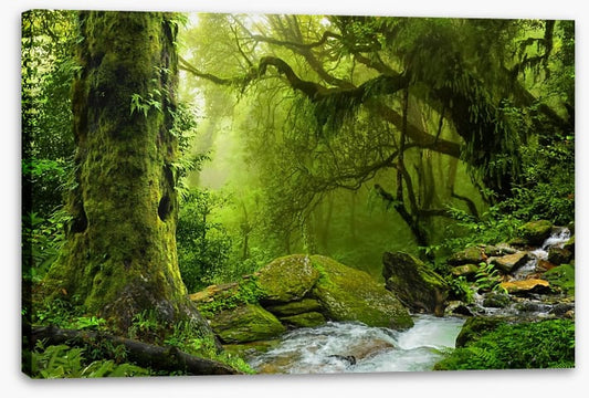 Sea of green