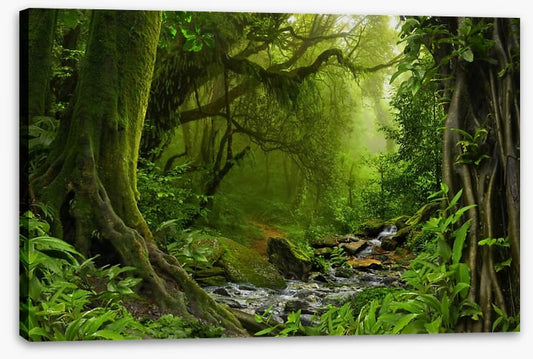 Jungle river