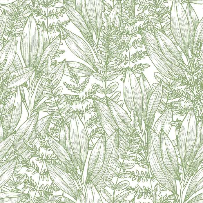 Ferny flora