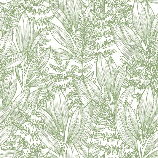 Ferny flora