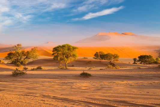 Africa