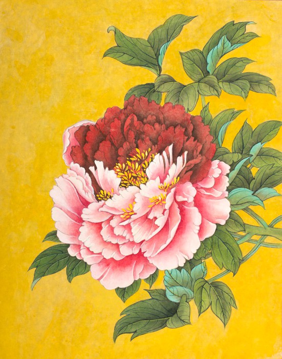 Peony on yellow