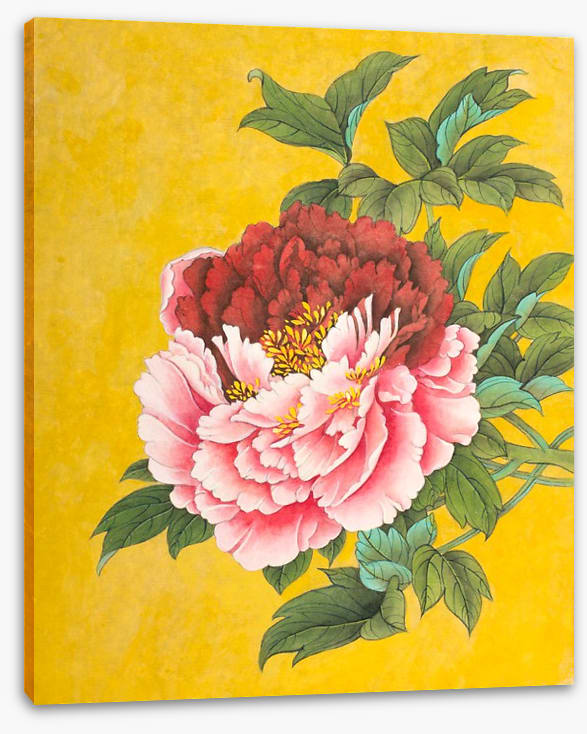 Peony on yellow