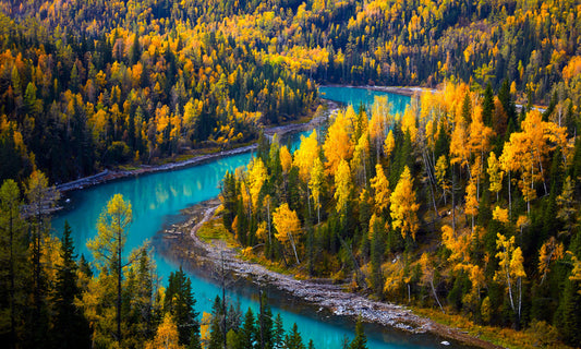 Winding through fall