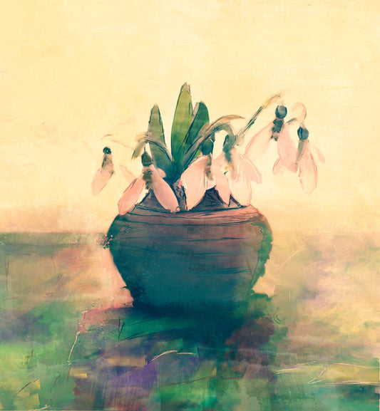 Still Life