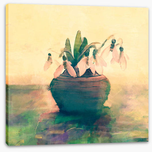 Still Life