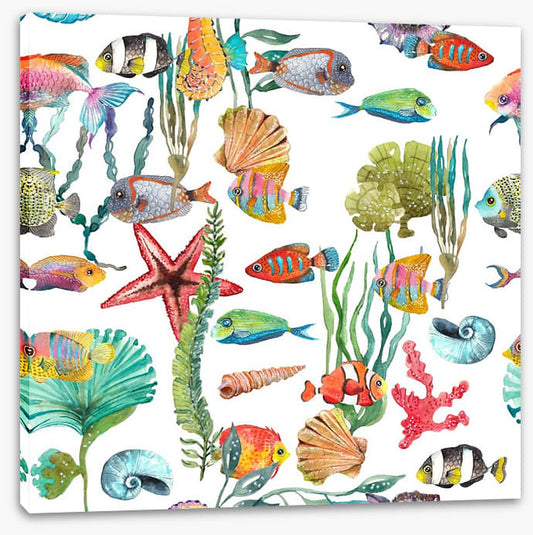 Marine life